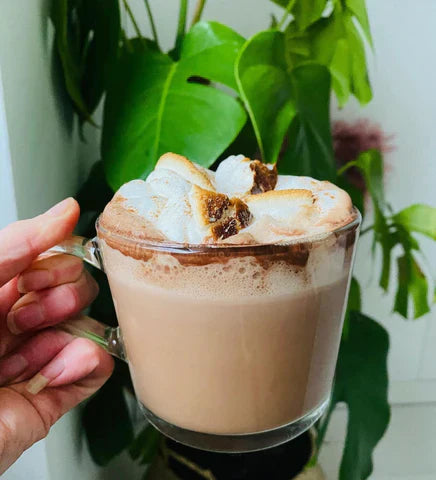 Hot Cacao + Collagen