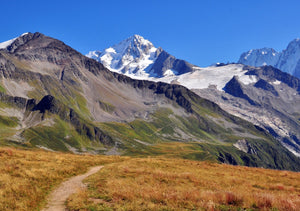 The Best Collagen Supplement for Radiant, Youthful Skin