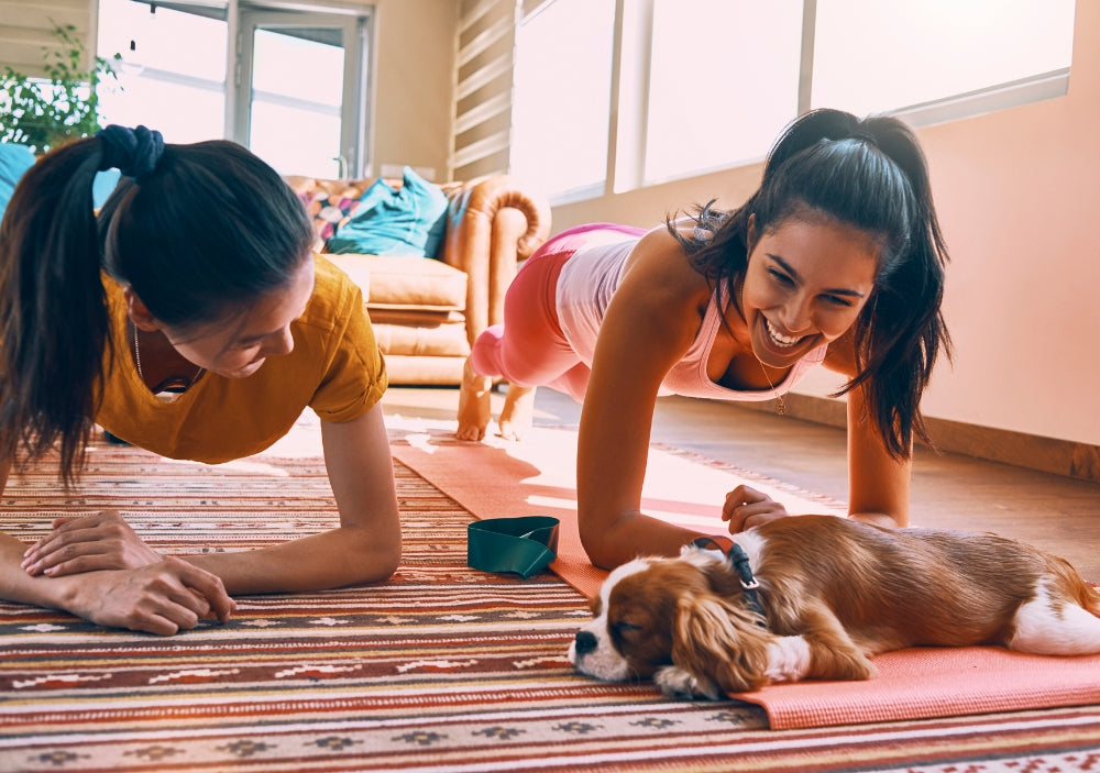 Bone Broth in Dubai: Nourishing Wellness from Traditional Recipes