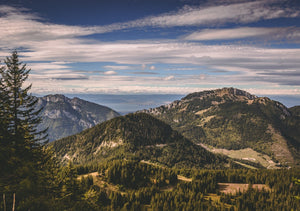 Bone Broth vs. Collagen: Which One Does Your Body Need?