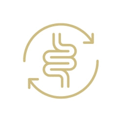 Alt Image